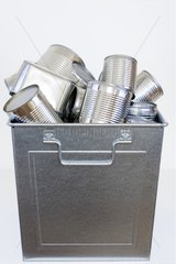 Recyclable steel cans in a steel container