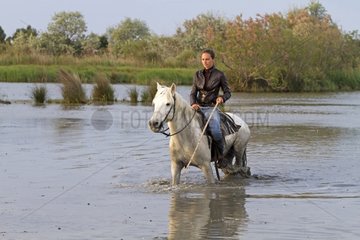 Rider on her Camargue horse in the Camargue RNP