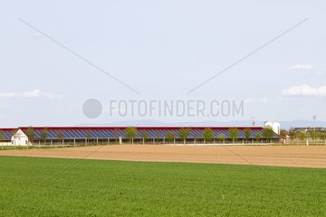 Photovoltaic panels on the roof of a farm in Alsace