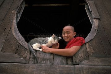 Monk caressing a cat at the window of a temple Burma
