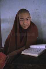Young novice studying religious texts Myanmar