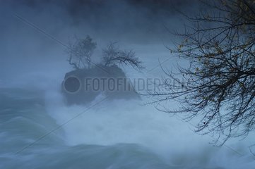 Brouillard à la Fontaine de Vaucluse