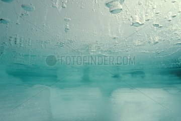 Air bubbles in ice diving under ice Alps Europe