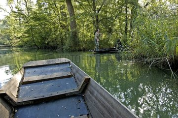 Gehen Sie in einem flach -bottomierten Boot auf einem alten Rheinarm