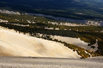 South slope of the Ventoux in autumn Bedoin Vaucluse