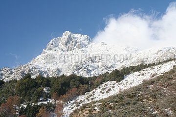 Mountainous solid mass of the san petrone after falls of snow