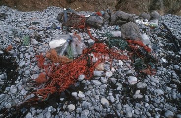 Nylon netting and plastic bottle washed up on St David Beach