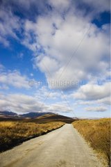 Dirt road in Tongariro National Park New Zealand