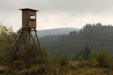 Watch hunting in the Odenwald Germany