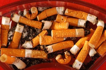 Zigarettenenden der Zigarette in einem Aschenbecher