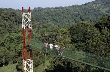 Touristen auf einer BrÃ¼cke in Canopy Costa Rica