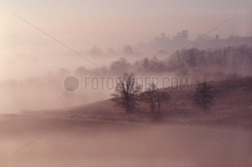 Brouillard dans la vallée de l'Auchie Gers