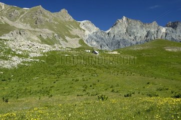 Mountain pastures National park of Mercantour