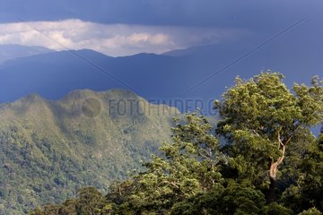Berge bewaldete Sabah Malaysia