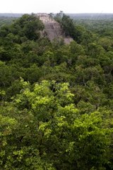 Maya -Pyramide  die aus dem tropischen Wald Mexiko hervorgeht