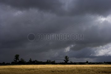 Campaign under a sky darkened by the storm France