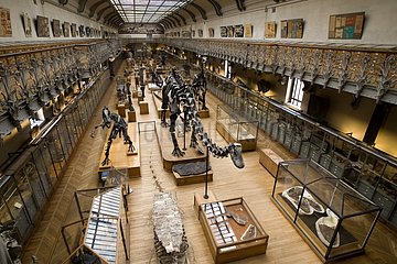 Galerie der PalÃ¤ontologie Natural History Museum Paris Frankreich