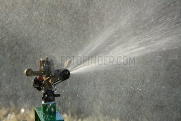 Sprinkling water in a garden