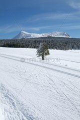 Cross-Country-Skikraße vor einem schneebedeckten Vulkan