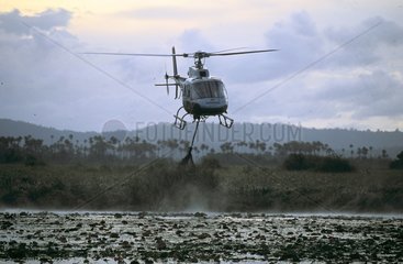 Helicopter flying above the Kaw swamp French Guiana