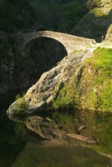 Alte Steinbrücke am Fluss Ardèche Frankreich