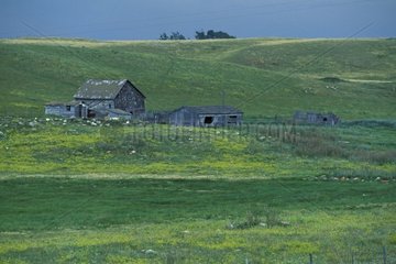 Farm given up in the large cereal plains Canada