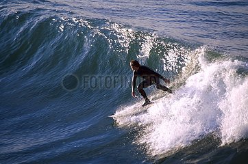 Los Angeles  quartier de Santa Monica  surfeur