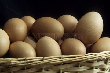 Hen eggs in a basket France