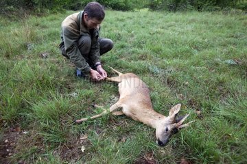 Deer Hunting with a male in the Lot France