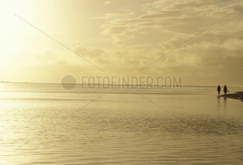 Coucher de soleil en bord de mer La Réunion