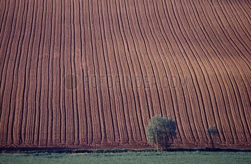 Landscape of a field plowed in Gers