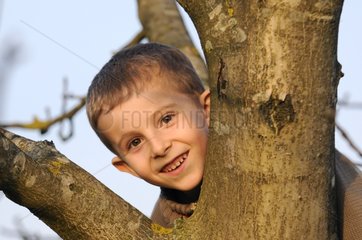Junge spielt in einer Baumfranche Comte Frankreich