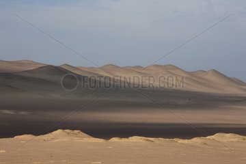 Desert absolute of the Paracas National Reserve Peru