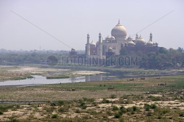 Taj Mahal Yamouna Riverside Agra Uttar Pradesh
