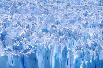 Patagonie  le glacier Perito Moreno