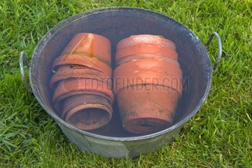 Désinfection des pots en terre cuite à l'eau de javel