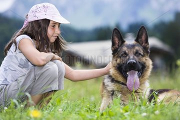 A little girl caresses a German shepherd lying in a meadow
