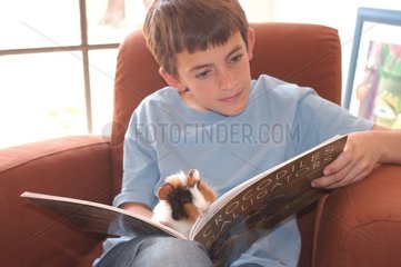 Enfant lisant avec cochon d'Inde tricolore