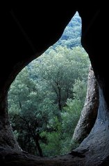 Natural reserve of Sant Llorenç del Munt I l'Obac Spain