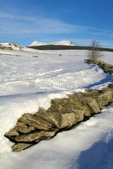Low wall on snow-covered Mezenc plateau Haute-Loire France