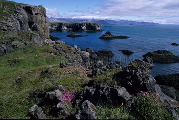 Côte près d'Arnarstapi Islande