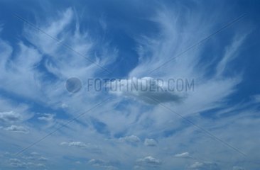 Wolken Cirrus in einem blauen Himmel