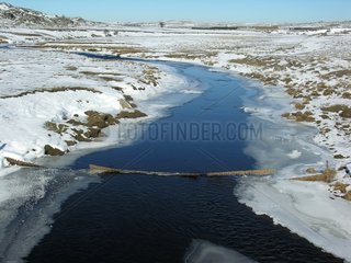 Gefrorener Fluss mit Aubrac im Winter