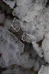 Detail der Eiskristalle in nasser Meadow Winter Frankreich