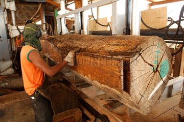 Worker working in a sawmill on Rio Branco Brazil