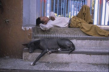 Schlafender Hund mit einem Mann auf einer burmaigen Treppe