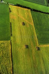 Landschaft von geernteten Feldern in Cornouaille -Finistern