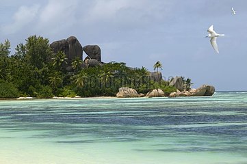 Beach and granitic rocks at the Digue Seychelles