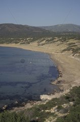 Zypern Naturschutzstrände