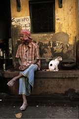 Cat sitting near a man Calcutta India